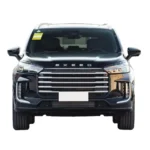 Exeed Vx Gasoline Power 5door 7seat Large SUV Luxury Appearance – In Stock in China | EVOVED