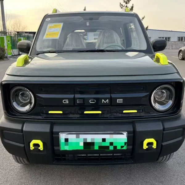 2026 Geely Panda Mini New Energy Small EV – Ships Worldwide From China | EVOVED