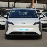 GAC AION Y – Ready for Export From China | EVOVED