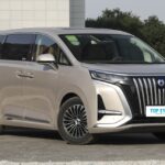 DENZA D9 – Ready for Export From China | EVOVED