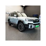 Leopard 8, Fang Cheng Bao – For Sale From China  | EVOVED - Image 5